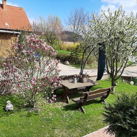 Familienfreundliche Ferienwohnung Auf Dem Lande Monteur Wohnung Hessisch Oldendorf Dış mekan fotoğraf