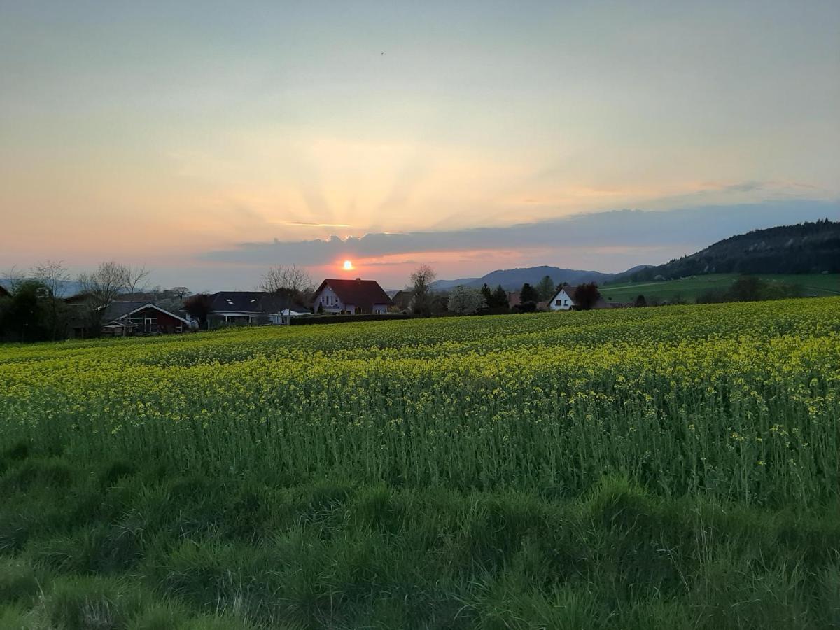 Familienfreundliche Ferienwohnung Auf Dem Lande Monteur Wohnung Hessisch Oldendorf Dış mekan fotoğraf